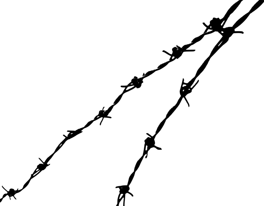 Long Barbwire PNG Image Free Download
