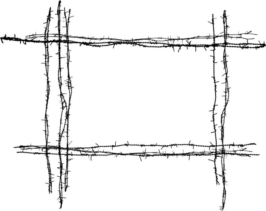 Barbwire PNG Wire Frame free download