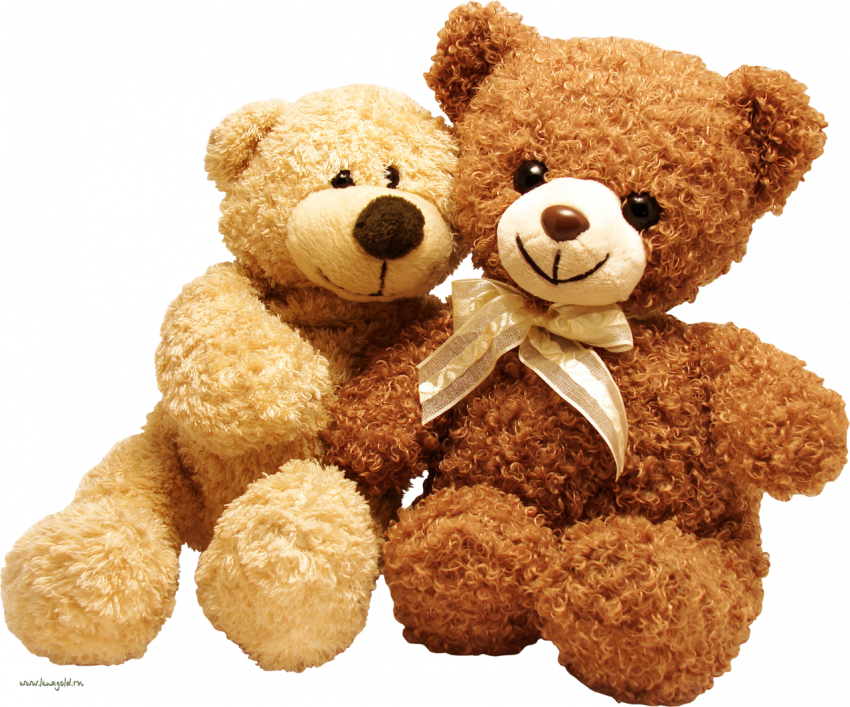 Cartoon toys Teddy Bear free png download