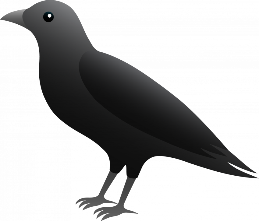 Black Crow PNG Image - Transparent Image Download - Art Black Crow  Best Clipart Image
