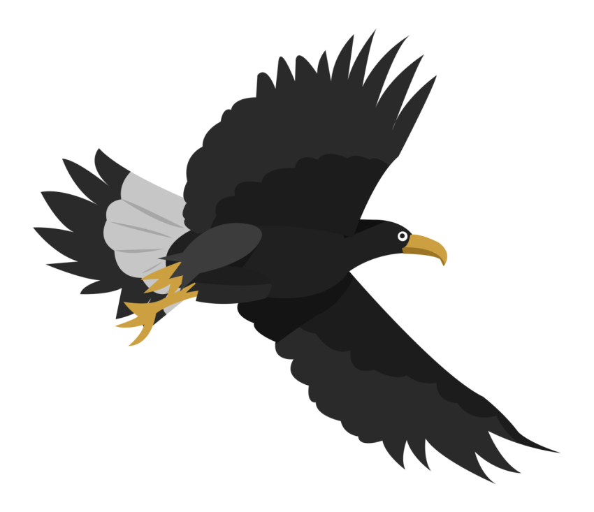 Eagle fly flight sky PNG Free Download
