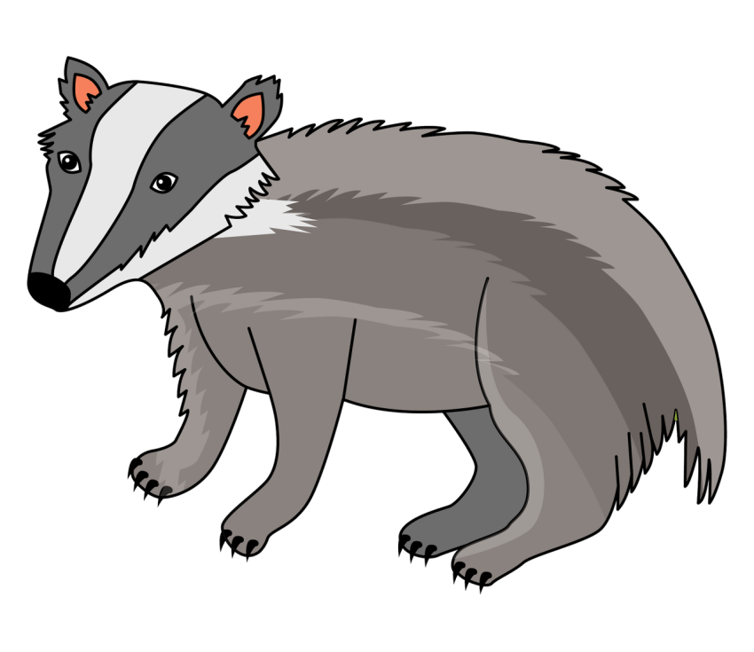 Vector Stock Graphic Badger Outline  PNG Picture Free Download
