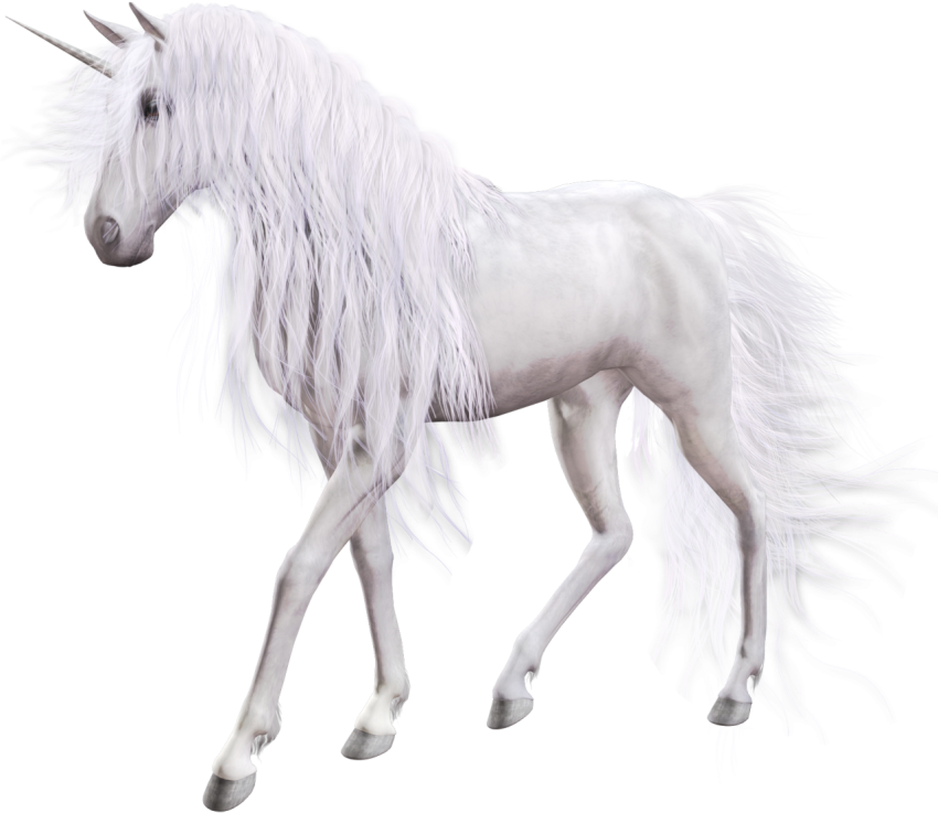 HD White Unicorn PNG Transparent Image