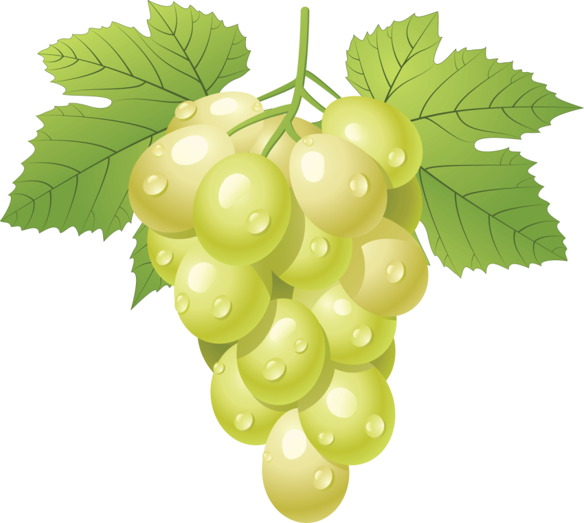 Grapes Green Seedless Picture PNG Free Transparent Background