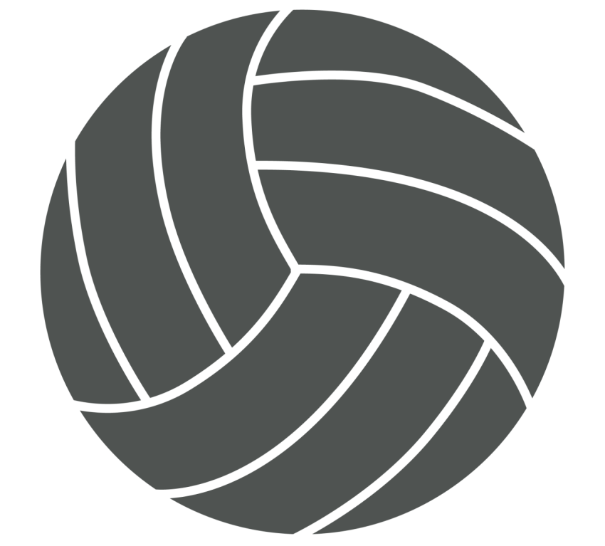 Grey Volleyball PNG Logo Free Transparent