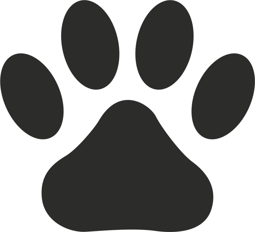 4 Grunge Paw Print PNG Transparent Free Background