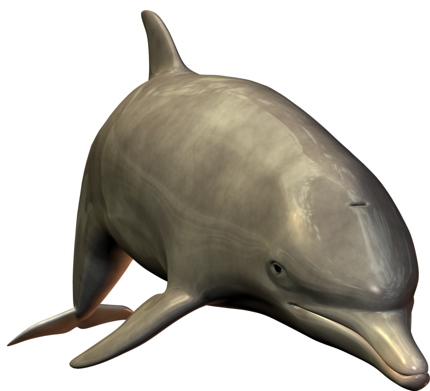 Dolphin fish free png