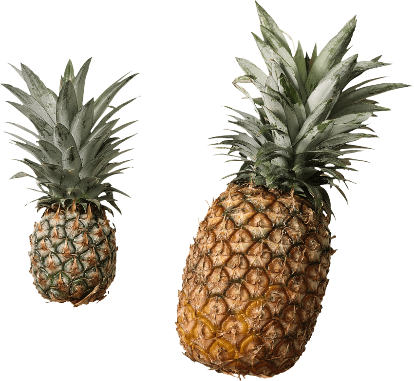 Download PNG Image Pineapple HD Svg Graphic Graphic Pineapple Photo Free Download