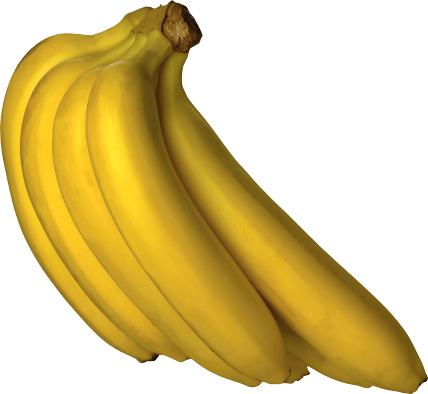HQ Clipart Banana Bruch PNG Group Banana Pairs Free Download