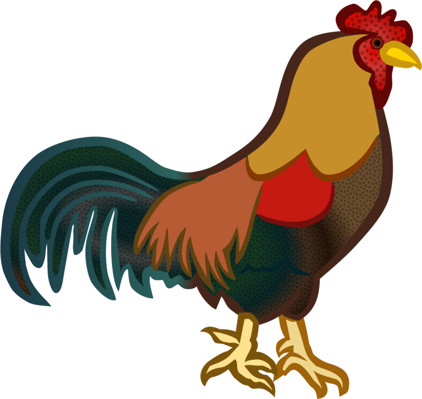 Rooster Chicken Cartoon PNG image