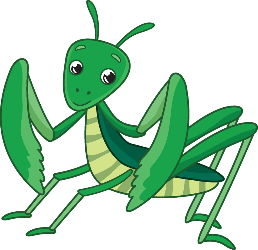 Cartoon Mantis Vector Graphic Art Image PNG Free Download
