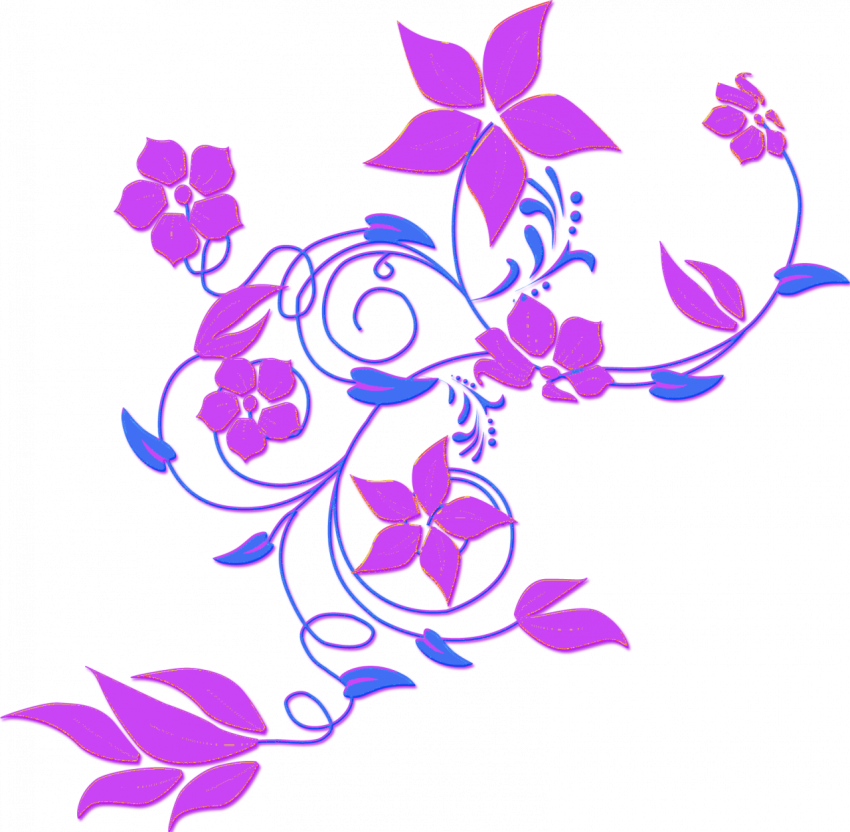 Floral png flowers purple flower png free