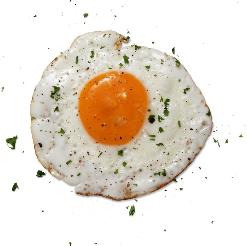 Half Fried Egg With Egg White And Yolk And Sprinkle Of Green Coriander,Chicken Egg,HD Photo Free Download PNG Image,Transparent Background