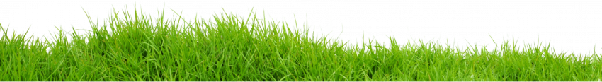 Free download green grass in field transparent backyard