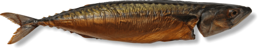 Gray And Copper Smoked Mackerel With Open Black Eye ,Mackerel Cured By Smoke,HD Smoked Mackerel Photo Free Download PNG Image,Transparent Background