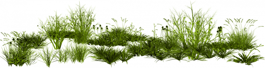 Free grass png texture download