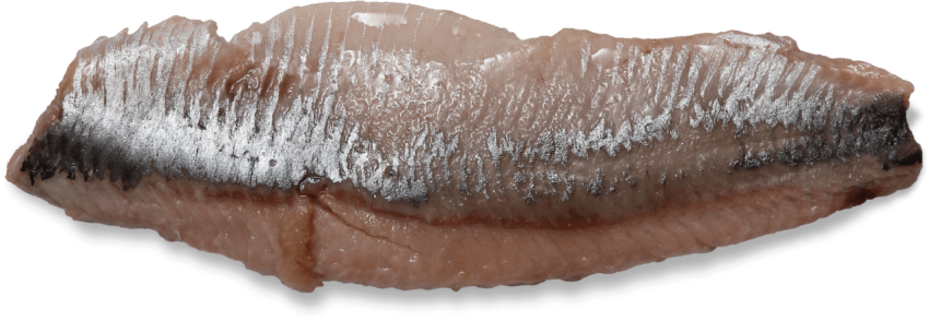 Mackerel Fillet,A Creamy And Slightly Salty Meat,Torpedo-Shaped Sea Fish,HD Mackerel Fillet Photo Free Download PNG Image,Transparent Background