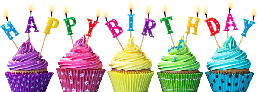 Colorful Birthday Cupcake PNG Vector Image