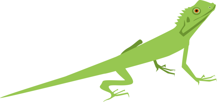 Vector Green Lizard Reptile PNG Picture Free Download