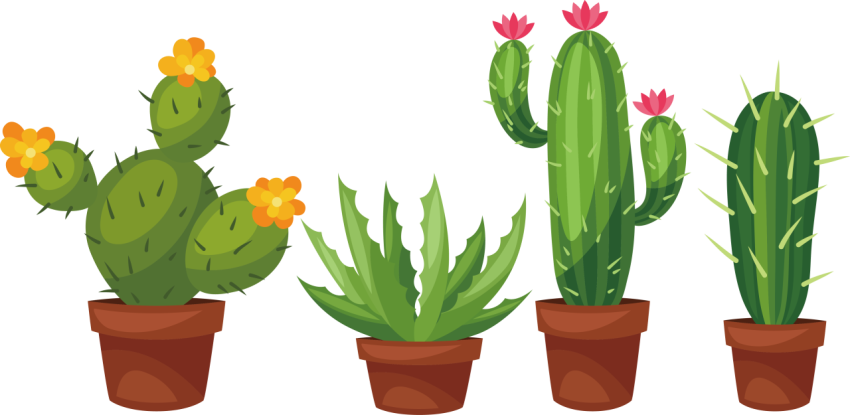 Cute Litter Cactus PNG plants Free Download