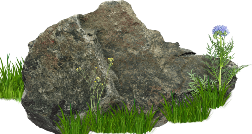 Stone gress and beautiful flower PNG transprante background image free download