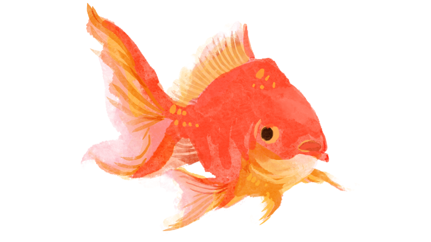 Fish aquarium goldfish PNG free Download
