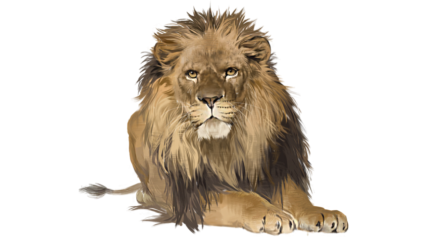 Lion realistic lion PNG Download Free