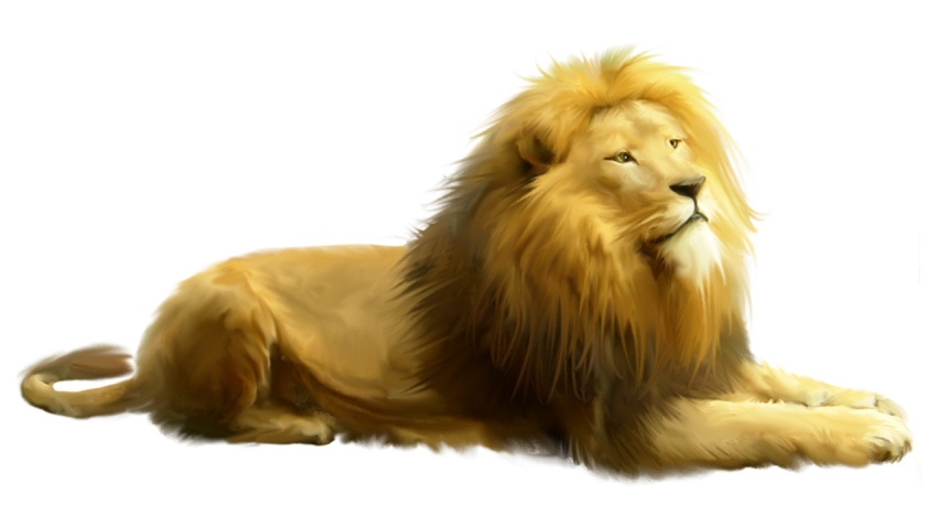 Standing lion lying down PNG Free Download