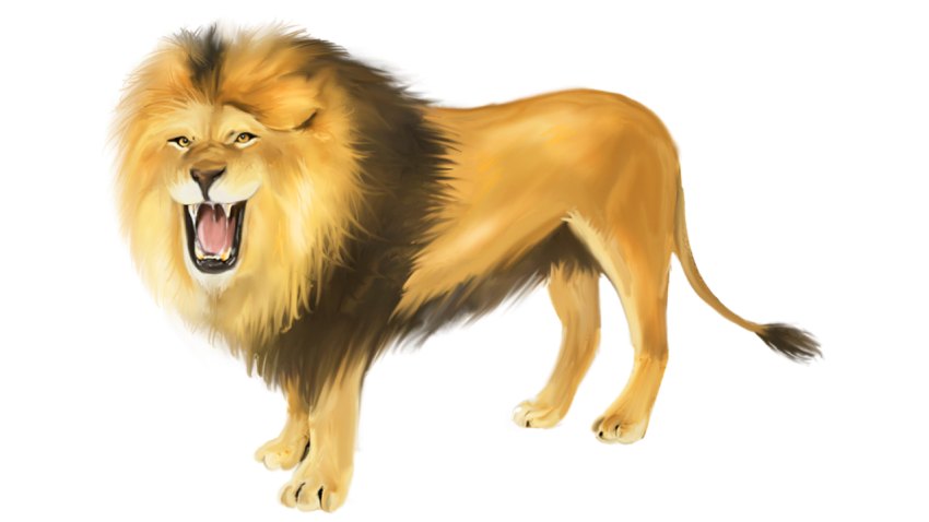 Standing ferocious lion PNG Free Download