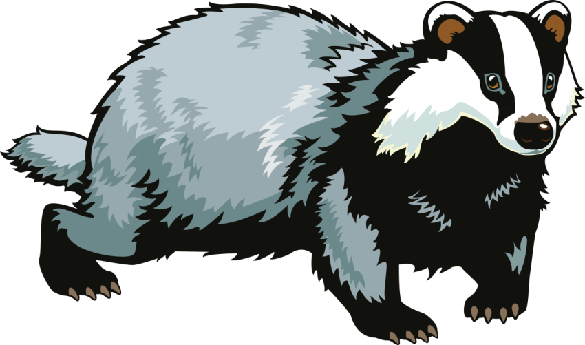 Pin On Cricut Badger Vector Graphic & Svg Stock Art PNG  Skitch Painting Free Download