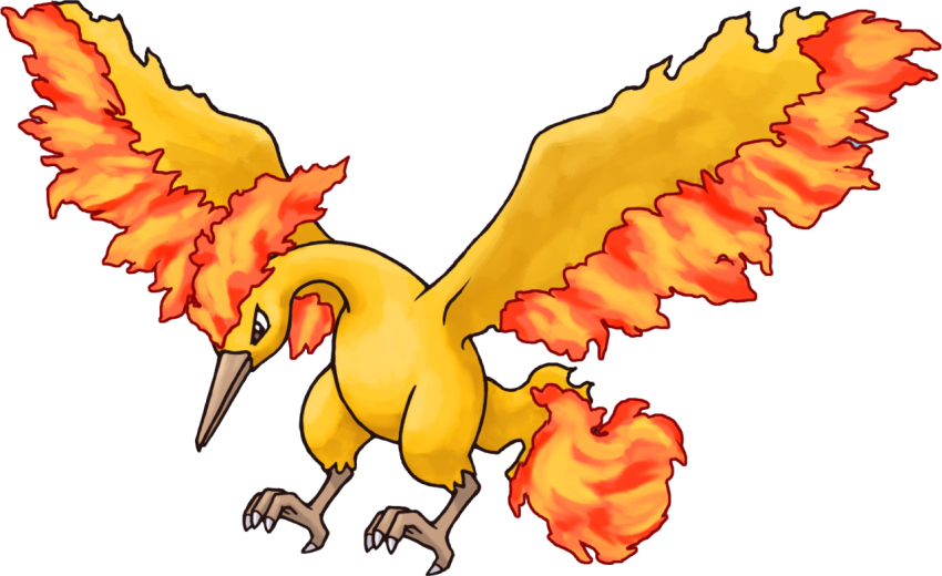 Fire Birds on Pokemon PNG Cartoon Free Download