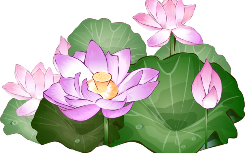 Abstract Lotus Flower Art Work  PNG Image Free Picture