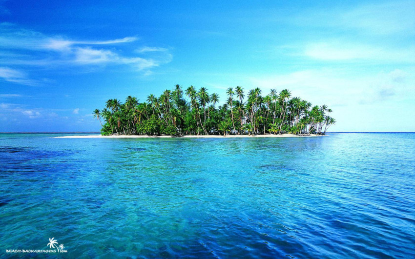 Blue water sea with tree's free png