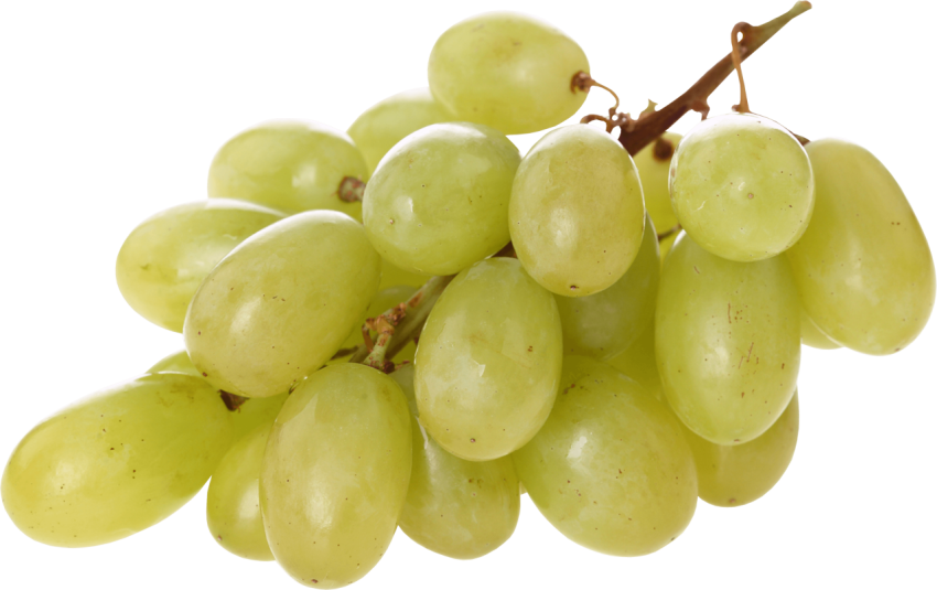 Grapevine Green Grapes PNG Image & Picture White Background Free Download