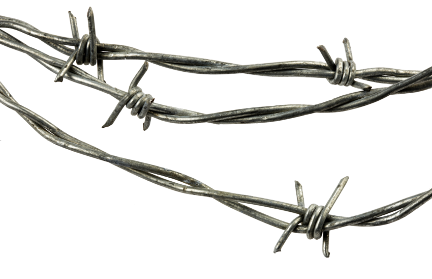 Barbwire PNG image free download