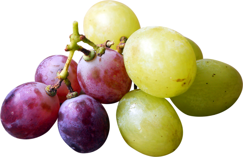 Organic Red Green Grapes HD Clipart Photo PNG Free Download