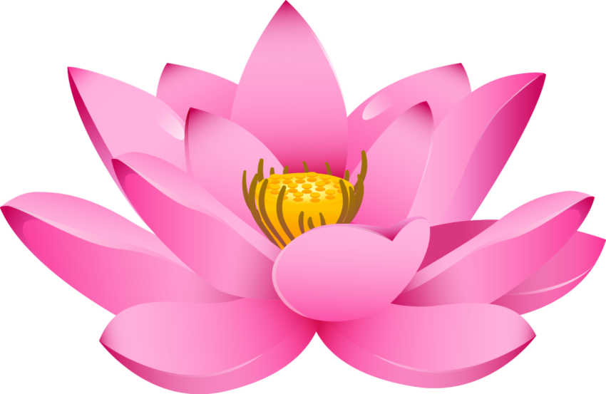 Clip Art Flower of Lotus PNG Image Free Download