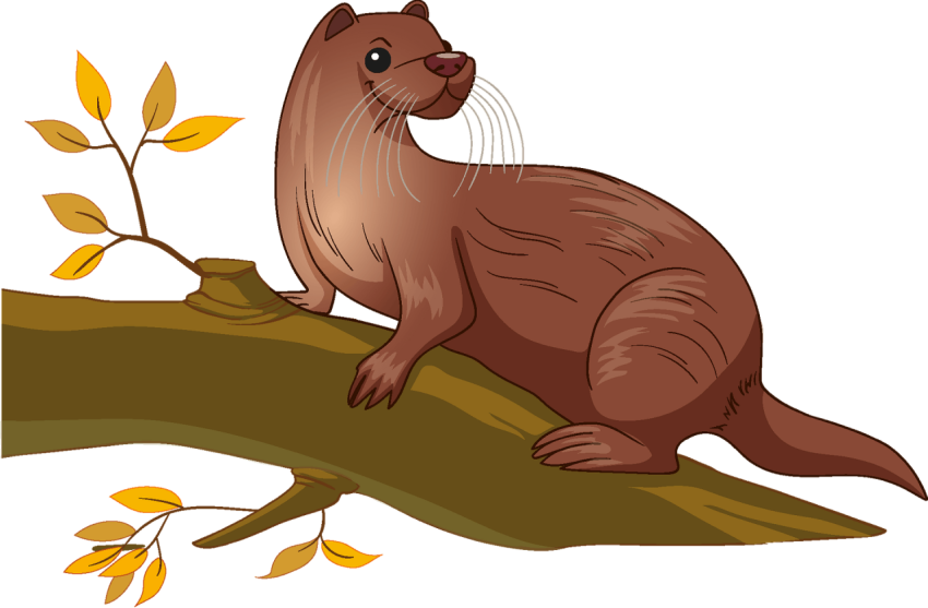 HD Vector PSD Art Otter PNG Image On Transparent Background