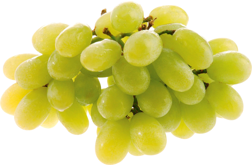 HD Illustration Grapes PNG Picture Free Download