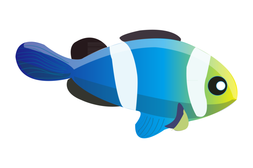 Marine life fish illustration PNG Download