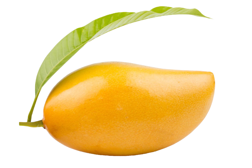 Smoothi juicy Mango fruit photography PNG Free Transparent