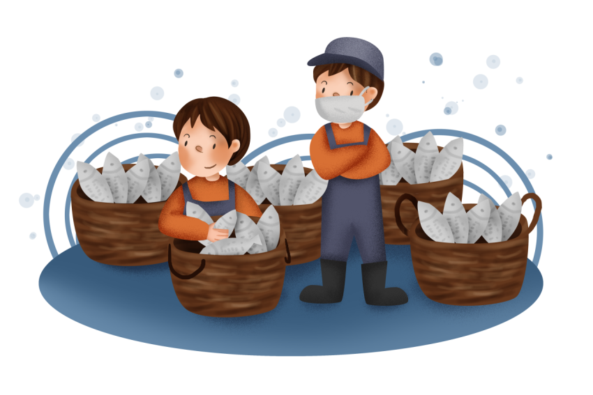 Scallop fish fishing PNG Download