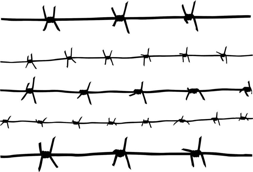 Barbwire PNG Thick Image on Free Download
