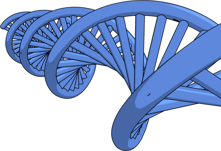 Clip Art DNA PNG Image Transparent Free Download