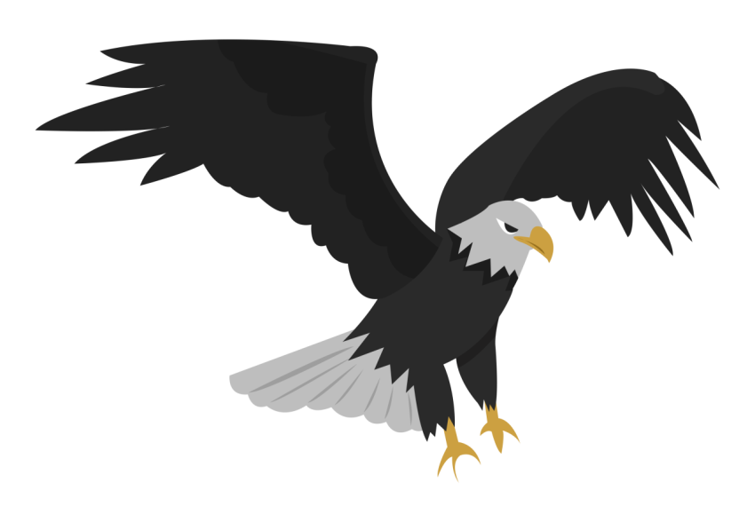 Eagle animal birds raptor PNG Free Download