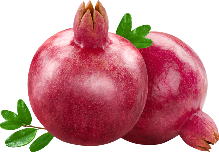 Pomegranate Pair Best Vector Graphic Image PNG Transparent