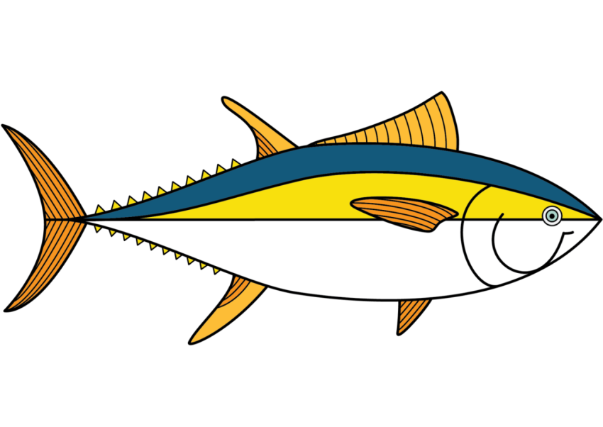 Yellow Tuna Pool Fish PNG Art