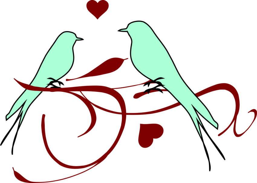 Silhouette Red Love Birds PNG Transparent Background