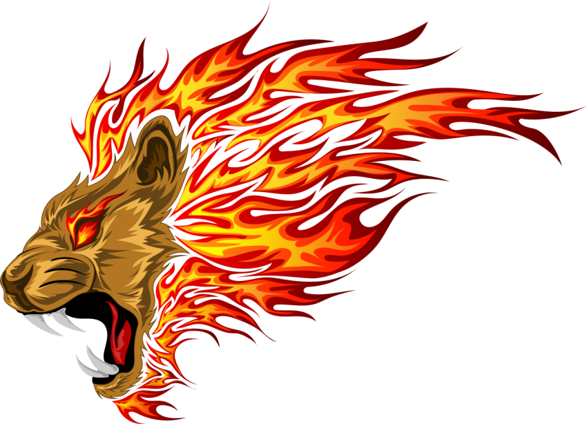 Fire lion PNG free Download
