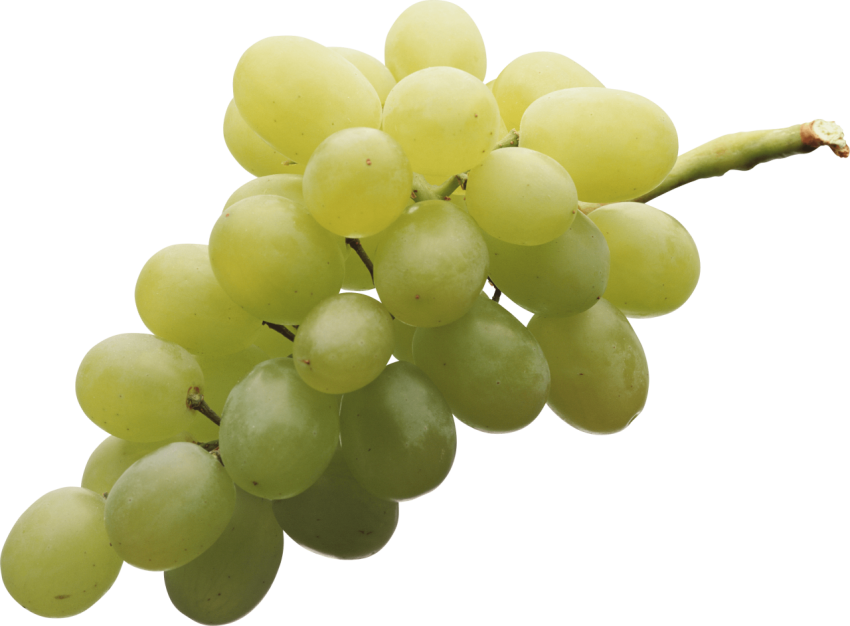 Download Free PNG Grapes Photo White Background Free Download